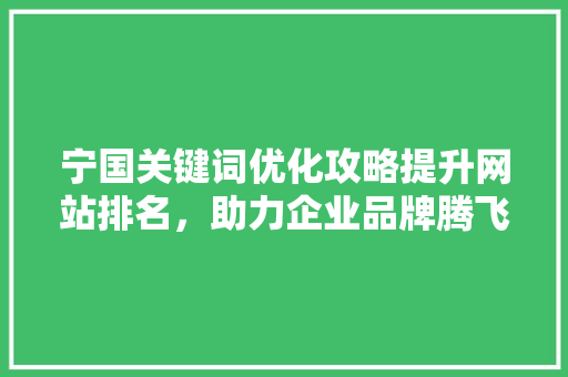 宁国关键词优化攻略提升网站排名，助力企业品牌腾飞