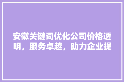 安徽关键词优化公司价格透明，服务卓越，助力企业提升网络竞争力
