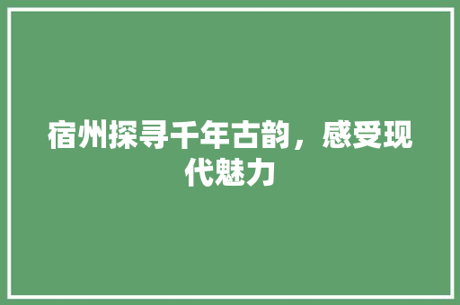 宿州探寻千年古韵，感受现代魅力