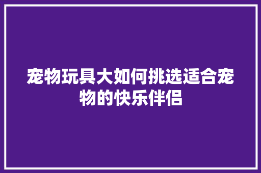 宠物玩具大如何挑选适合宠物的快乐伴侣