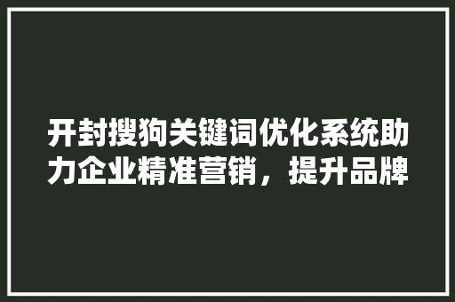 开封搜狗关键词优化系统助力企业精准营销，提升品牌影响力