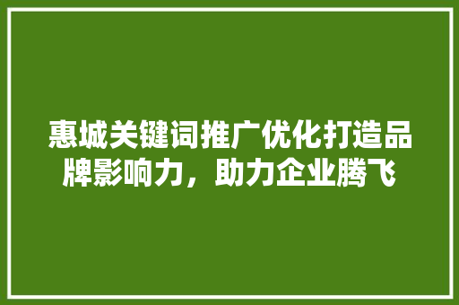 惠城关键词推广优化打造品牌影响力，助力企业腾飞