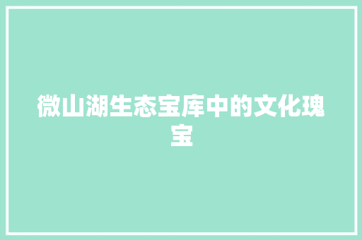 微山湖生态宝库中的文化瑰宝