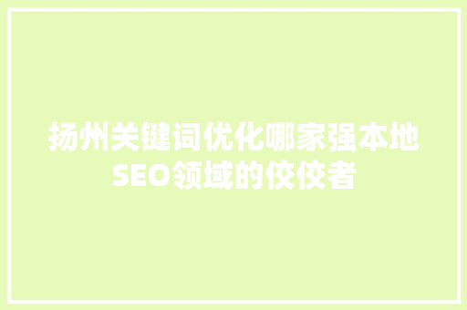 扬州关键词优化哪家强本地SEO领域的佼佼者