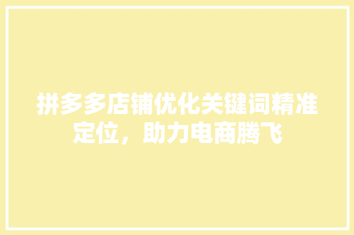 拼多多店铺优化关键词精准定位，助力电商腾飞