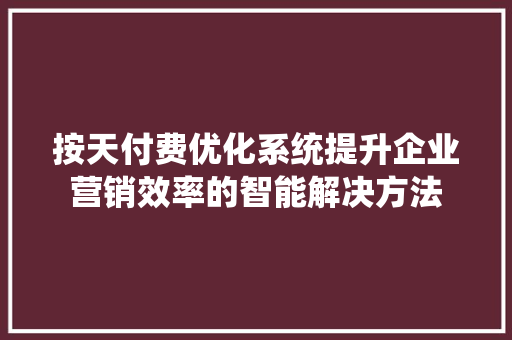 按天付费优化系统提升企业营销效率的智能解决方法
