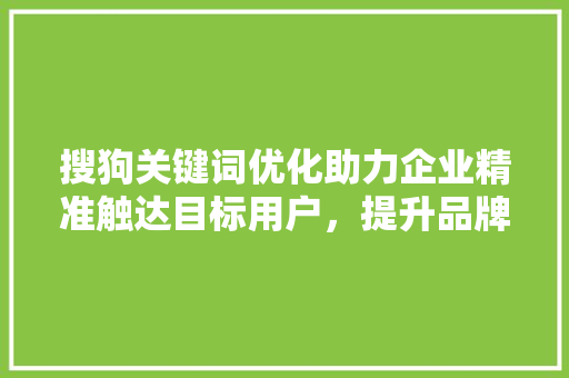 搜狗关键词优化助力企业精准触达目标用户，提升品牌影响力