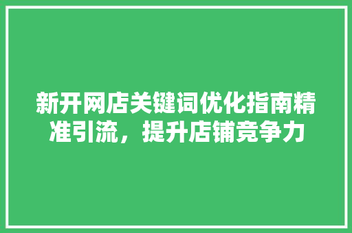 新开网店关键词优化指南精准引流，提升店铺竞争力