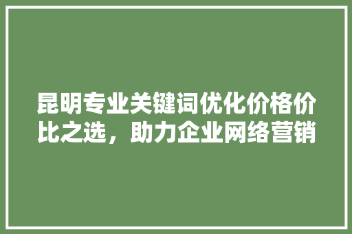 昆明专业关键词优化价格价比之选，助力企业网络营销