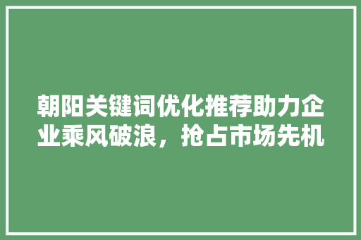 朝阳关键词优化推荐助力企业乘风破浪，抢占市场先机