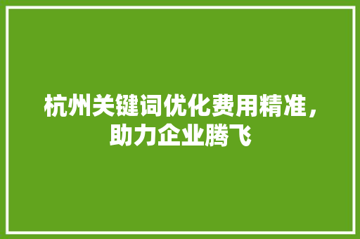 杭州关键词优化费用精准，助力企业腾飞