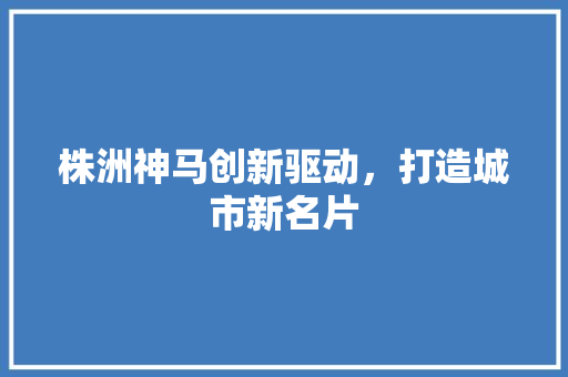 株洲神马创新驱动，打造城市新名片