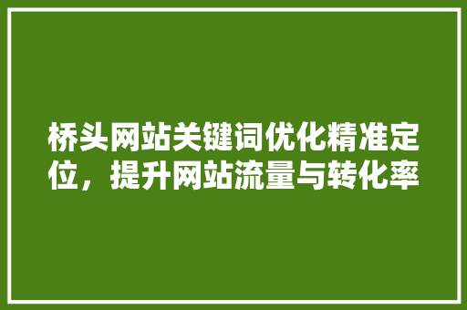 桥头网站关键词优化精准定位，提升网站流量与转化率