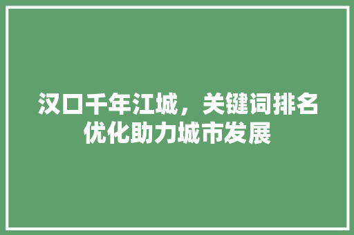 汉口千年江城，关键词排名优化助力城市发展