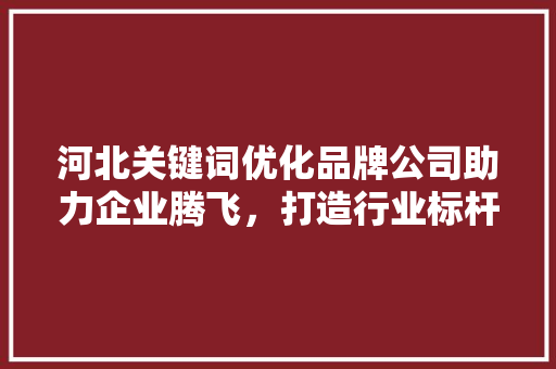 河北关键词优化品牌公司助力企业腾飞，打造行业标杆