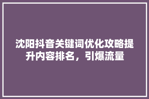 沈阳抖音关键词优化攻略提升内容排名，引爆流量
