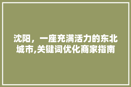 沈阳，一座充满活力的东北城市,关键词优化商家指南