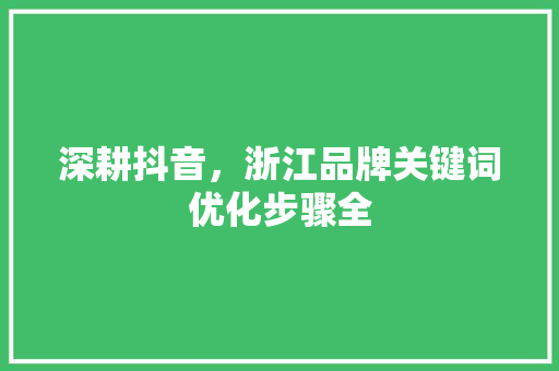 深耕抖音，浙江品牌关键词优化步骤全