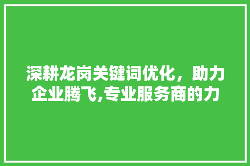 深耕龙岗关键词优化，助力企业腾飞,专业服务商的力量