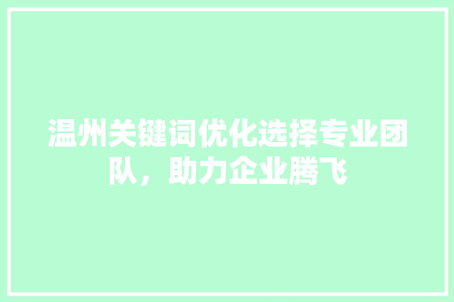 温州关键词优化选择专业团队，助力企业腾飞