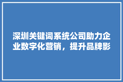 深圳关键词系统公司助力企业数字化营销，提升品牌影响力