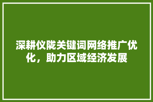 深耕仪陇关键词网络推广优化，助力区域经济发展