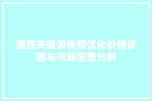 湘西关键词快照优化价格步骤与市场前景分析