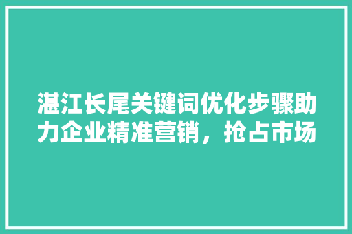 湛江长尾关键词优化步骤助力企业精准营销，抢占市场先机