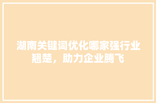 湖南关键词优化哪家强行业翘楚，助力企业腾飞