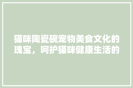 猫咪陶瓷碗宠物美食文化的瑰宝，呵护猫咪健康生活的必备神器