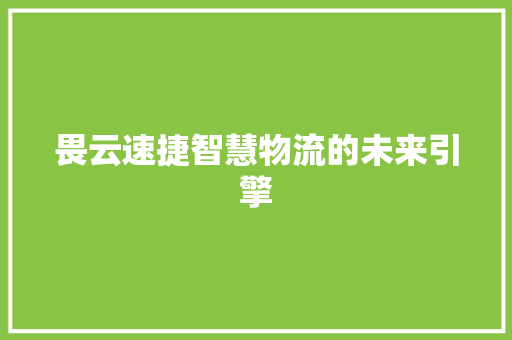 畏云速捷智慧物流的未来引擎