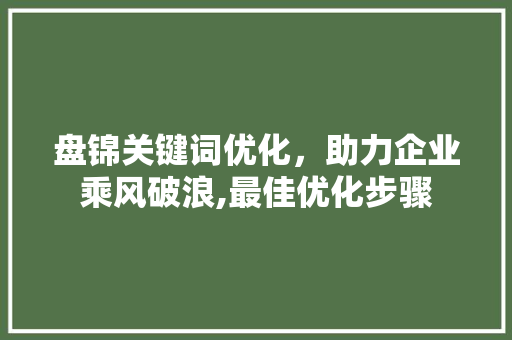 盘锦关键词优化，助力企业乘风破浪,最佳优化步骤