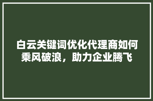 白云关键词优化代理商如何乘风破浪，助力企业腾飞