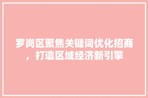 罗岗区聚焦关键词优化招商，打造区域经济新引擎
