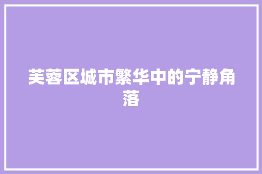 芙蓉区城市繁华中的宁静角落