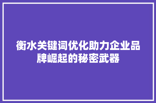 衡水关键词优化助力企业品牌崛起的秘密武器