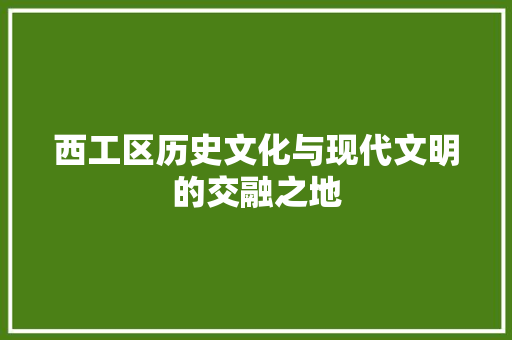 西工区历史文化与现代文明的交融之地