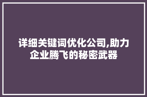 详细关键词优化公司,助力企业腾飞的秘密武器