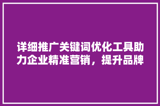 详细推广关键词优化工具助力企业精准营销，提升品牌影响力