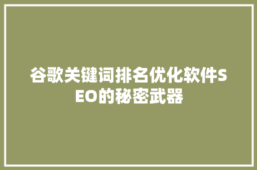 谷歌关键词排名优化软件SEO的秘密武器