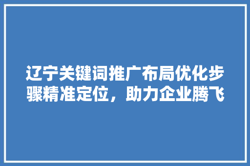 辽宁关键词推广布局优化步骤精准定位，助力企业腾飞