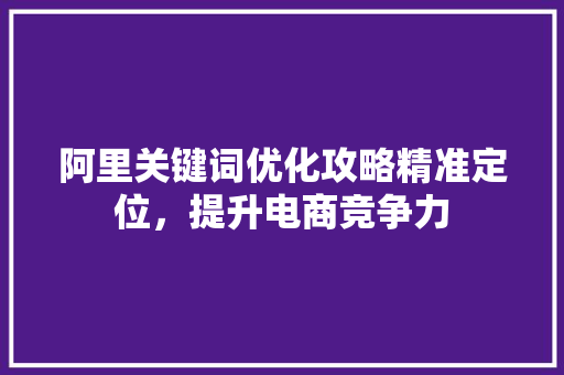 阿里关键词优化攻略精准定位，提升电商竞争力