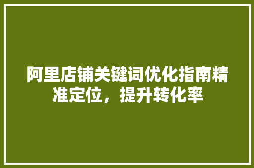 阿里店铺关键词优化指南精准定位，提升转化率