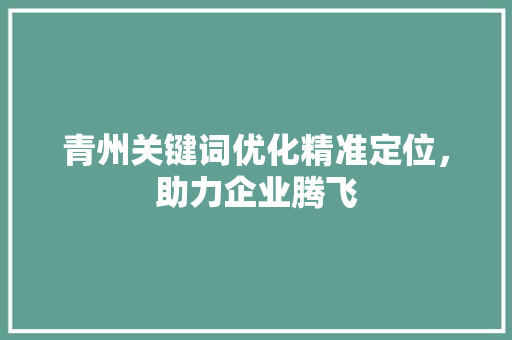 青州关键词优化精准定位，助力企业腾飞