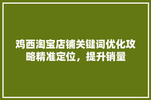 鸡西淘宝店铺关键词优化攻略精准定位，提升销量