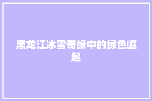黑龙江冰雪奇缘中的绿色崛起