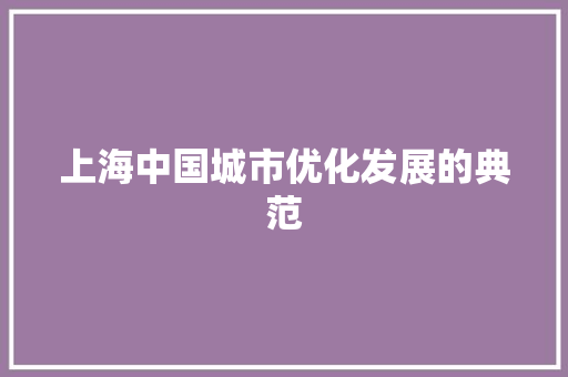 上海中国城市优化发展的典范