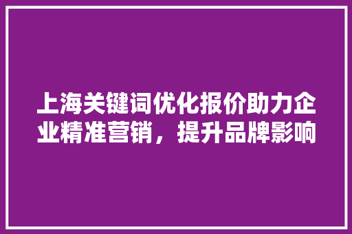 上海关键词优化报价助力企业精准营销，提升品牌影响力
