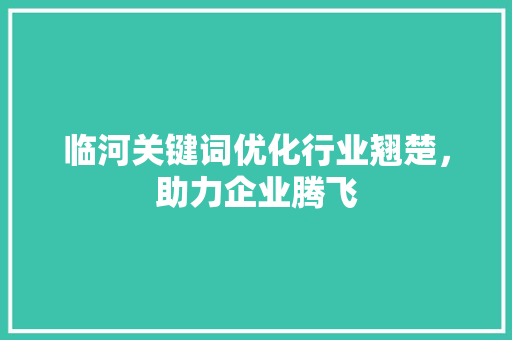 临河关键词优化行业翘楚，助力企业腾飞