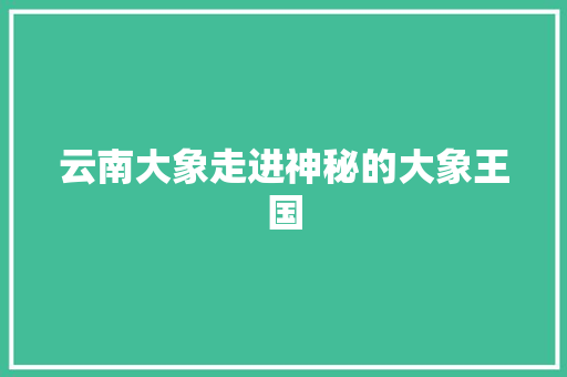 云南大象走进神秘的大象王国